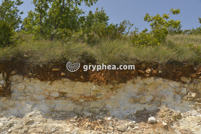 Sol sur calcaire - gryphea.com